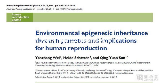 2024年重慶萬州私立婦產(chǎn)醫(yī)院排名整理，性價比高