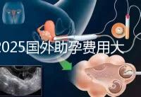 2025國外助孕費用大公開:單身人士費用對比與機構推薦