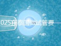 2025在泰國(guó)做試管費(fèi)用預(yù)估，助孕一次不到10萬(wàn)