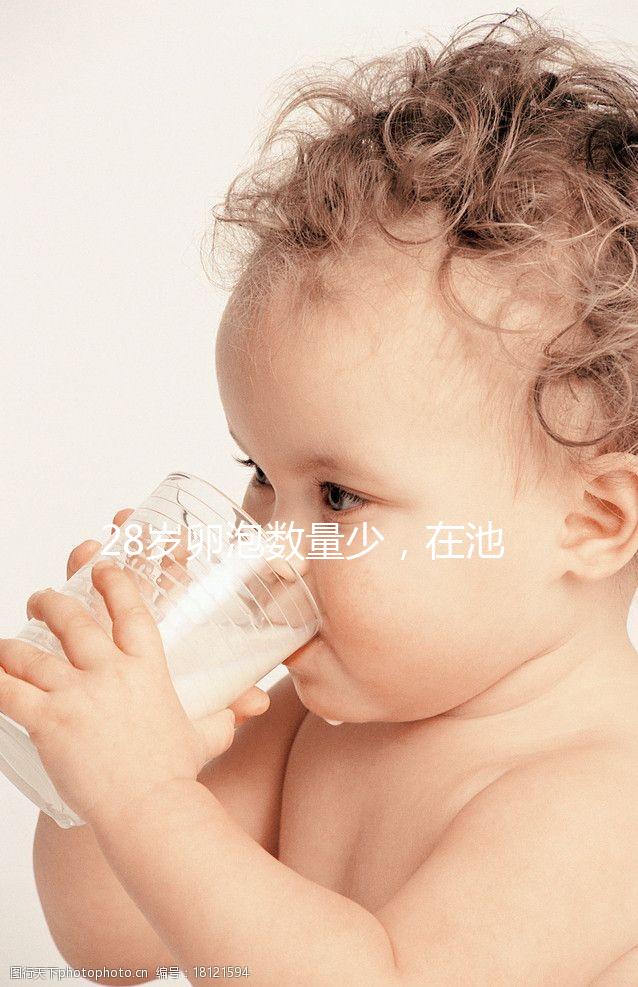 28歲卵泡數量少，在池州能不能做試管嬰兒？